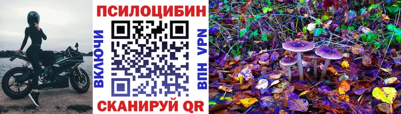 Купить  Калининск  Галлюциногенные грибы Cubensis 